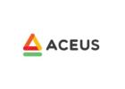 Best Digital Marketing Agency in Navi Mumbai - Aceus Media