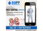 Pest Exterminator Vaughan – Get rid of your pests