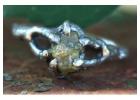 Excellent Prices - Exquisite Raw Natural Diamond Rings