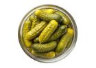 Trusted Gherkin Suppliers in India Top Quality