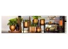 Buy Stylish Table Top Planters by Sereno to Elevate Your Indoor Decor 