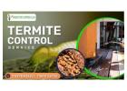 Professional Termite Control Service in Bhubaneswar 