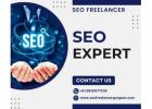 SEO Expert in Gurgaon: Help Your Website Reach the Top!