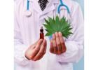 Choose the Best 420 Doctors