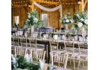 Silver Tiffany Chairs Australia Perfect for Every Event