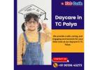 Daycare in TC Palya