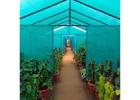 Durable Green Net for Garden - Shade & Plant Protection