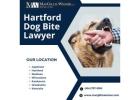 Get legal help for dog bites in Hartford today!