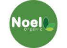 Welcome to Noel Organic: Where Beauty Meets Purity 