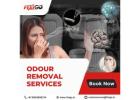 Car Interior Odour Removal Made Easy!