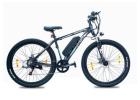 Top Ebike with removable battery for the ride-Stryder Bikes