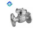 Stainless Steel 304 Filter Flange End SS Y Strainers