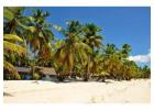 Tour Operators Saona Island | Raquelpuntacanaexcursions.com