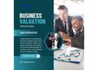 Expert Business Valuation Services India by Scaalex