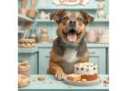 Delicious and Healthy Treats at the Best Bakery for Pet