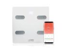 Upgrade Your Fitness Journey with the LifeCHARGE Smart Weight Scale