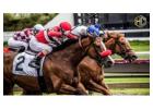 Unleash Your Skills with the Best Horse Racing Contests!