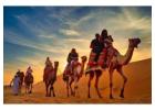 Morning Desert Safari: A Must-Experience Adventure