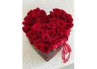 Same Day Beautiful Red Rose Flower Delivery For Wife Girlfriend Lake Worth TX