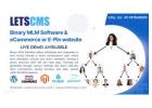 Binary MLM Business with powerful, reliable, and affordable Software & Live Demo