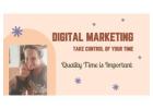 BLACK FRIDAY SPECIAL !! Digital Marketing with 5 Income Streams