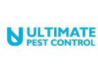 Ultimate Pest Control Dublin