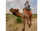 Jaisalmer Desert Camp