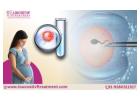 Total Cost of IVF in Bangalore - Low Cost IVF Treatment