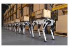 How Can You Integrate Autonomous Mobile Robots (AMRs) for Material Handling?