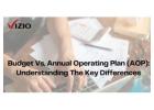 Streamline Financial Planning with Vizio’s AOP Budget Solutions