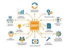 Top ERP Software Development Services in Coimbatore