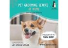 pet grooming centre at tirupur | pet food & salon in tirupur