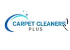 carpet cleaners plus