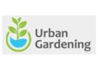 Urban Gardening Dublin