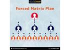 Transform you Success with Forced Matrix Plan