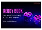 Reddy book for Seamless Betting