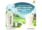 Why Does Fresh Milk Matter for Your Family's Health?