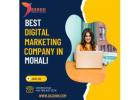 Best Digital Marketing Company in Mohali..!