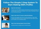 Stop Stressing Over Finances — Use Our Proven System to Start Earning Online!