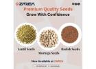 Zarea Limited offers Quality Seeds