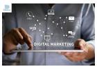 Sterco Digitex - Top Digital Marketing Company for Proven Results