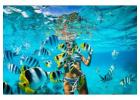 Snorkeling Punta Cana Bávaro Beach | Vipexcursiones.com