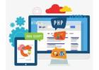 Hire The Best Website Designing Company in Delhi