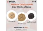 Quality Seeds Available on Zarea Limited