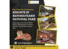 Plan Your Stay at Premium Resorts in Bandhavgarh National Park