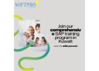 Sap Training In Kuwait