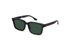 Order Stylish Green Sunglasses for Men & Women Now