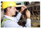 Top Commercial Electrician Services in Dublin