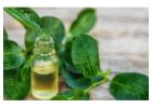  Elevate Your Products with Ashwani LLC – Premier Essential Oils Manufacturer in Dubai