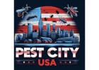 Rat Exterminators In Detroit | Call Pest City USA